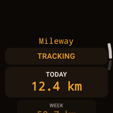Wear OS — dashboard